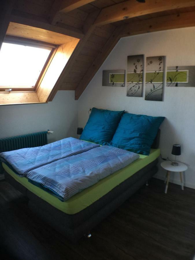 Ferienwohnung Alte B3 灵斯海姆 外观 照片