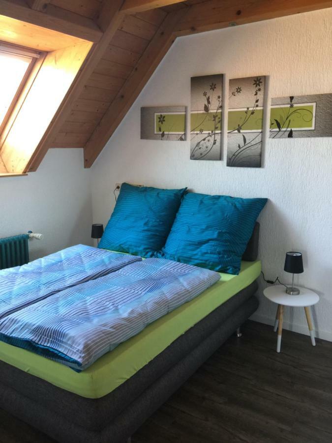 Ferienwohnung Alte B3 灵斯海姆 外观 照片